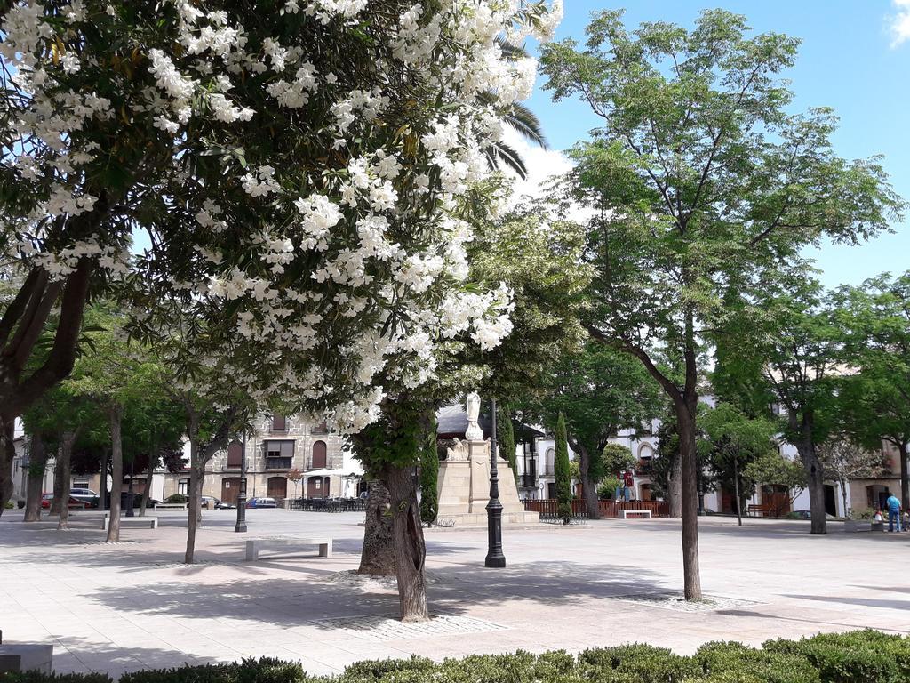 Apartamentos Sol De Mayo Ubeda  Ngoại thất bức ảnh